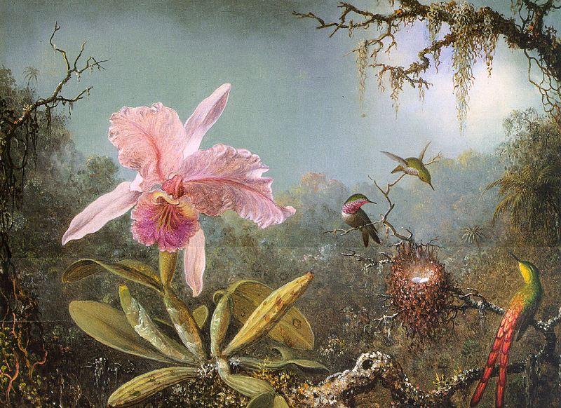 Martin Johnson Heade Cattleya Orchid & Three Brazilian Hummingbirds